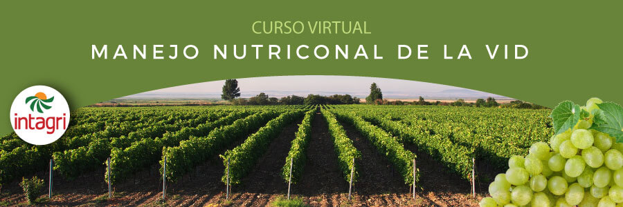 Curso Virtual: Manejo Nutricional De La Vid - Inicio | Intagri S.C.